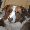Zinc was adopted in November, 2014